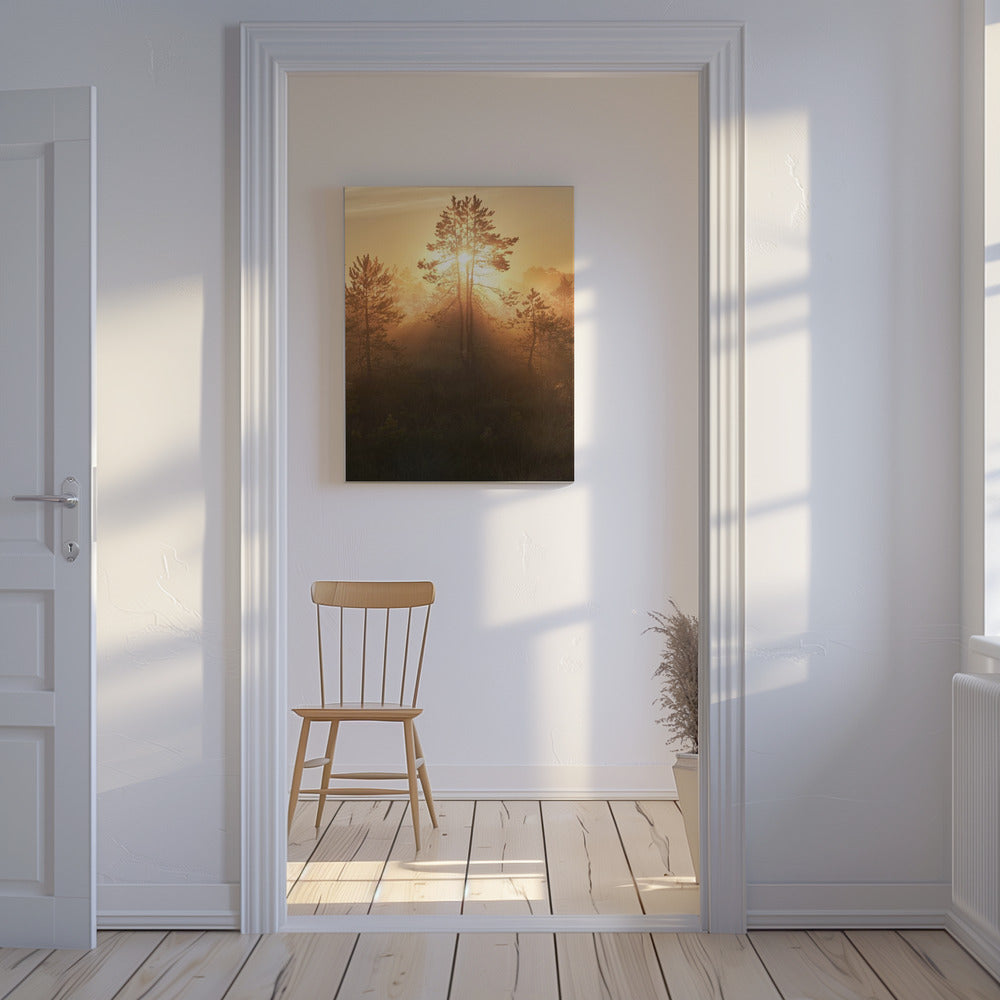 20220809 Dsf8009 Hdr 1 | Canvas