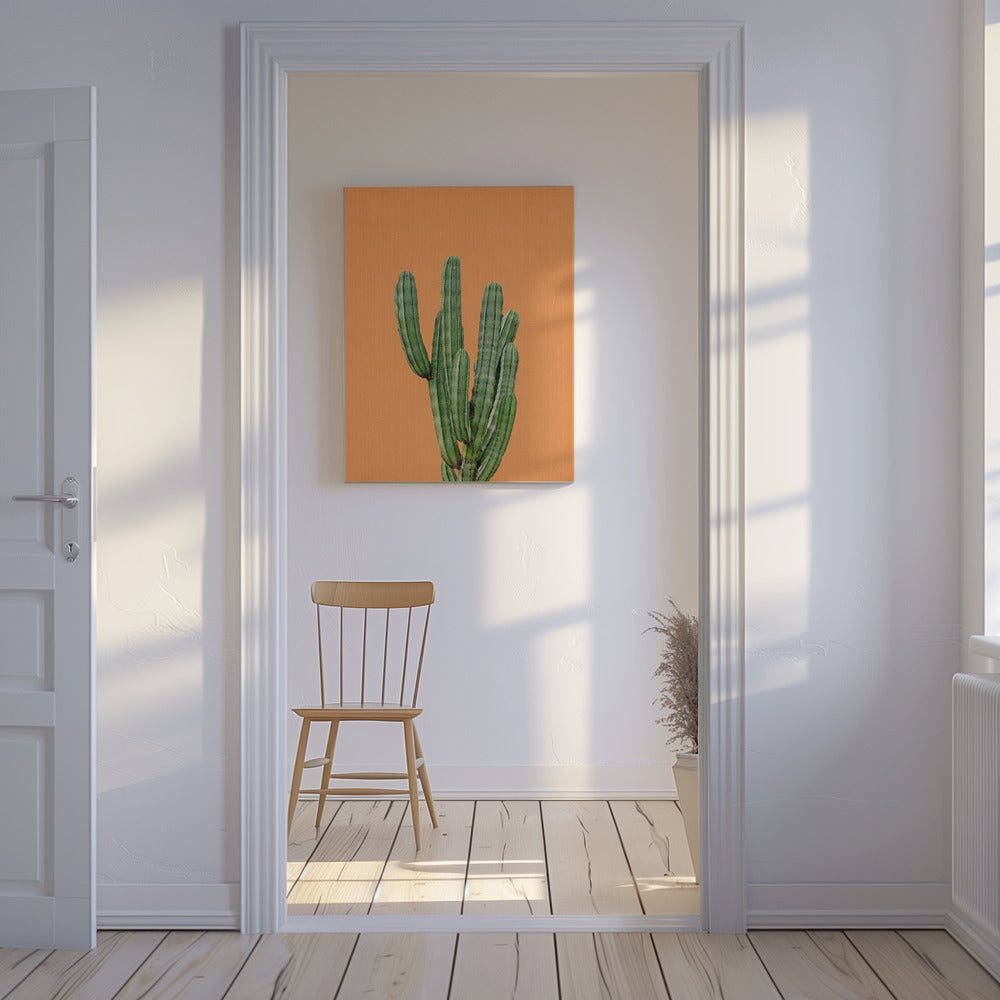 Orange Cactus | Canvas