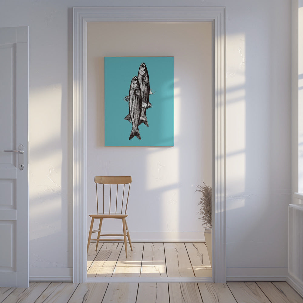 Sardiner | Canvas
