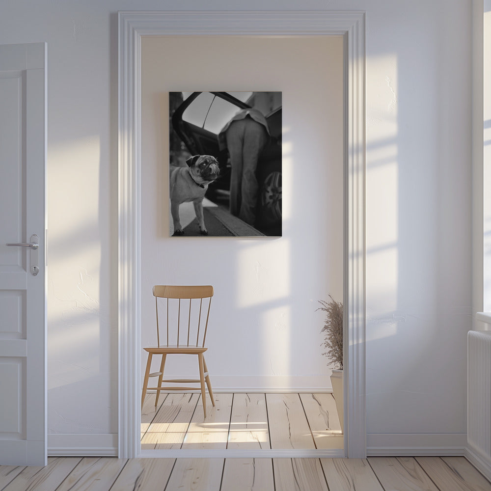 Namnlös | Canvas