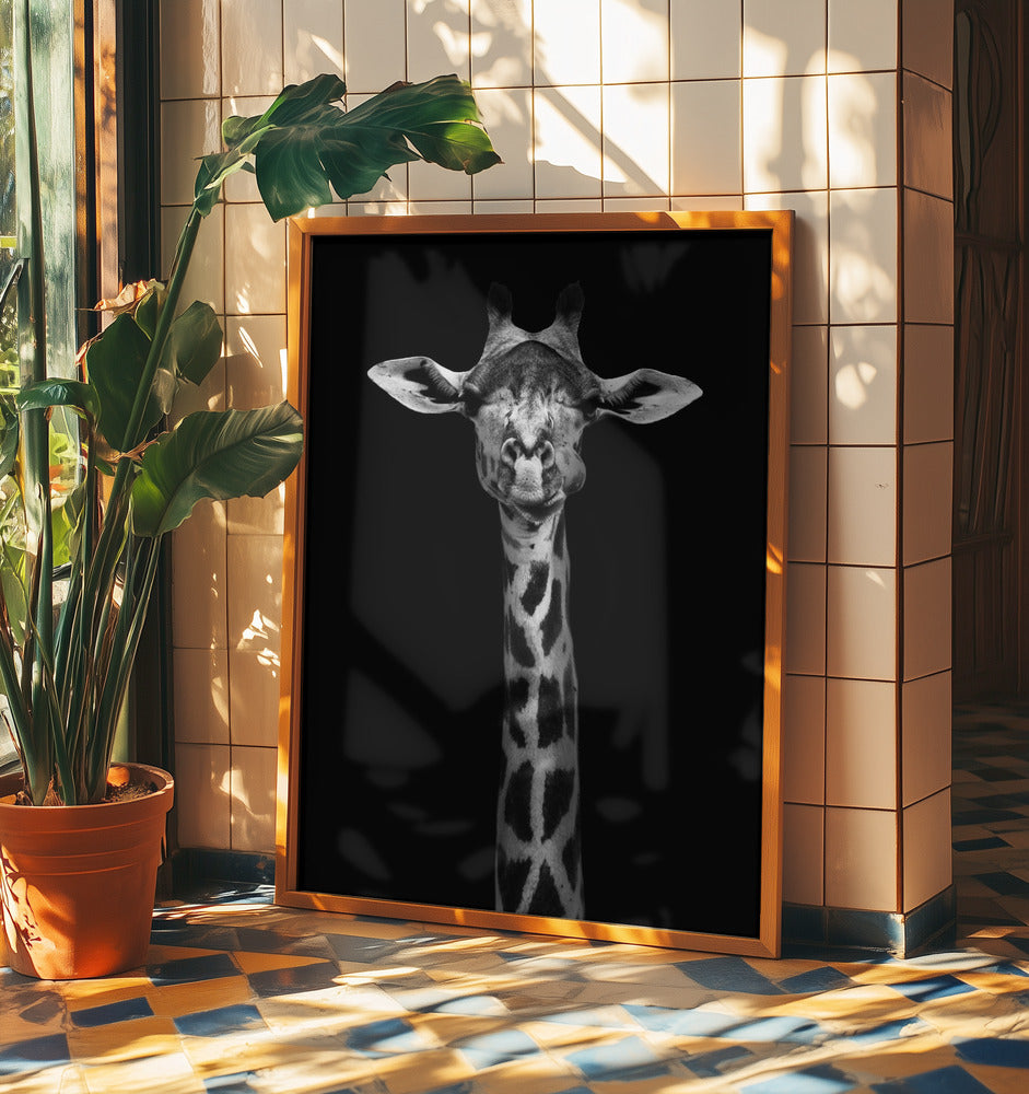 Giraffporträtt | Poster