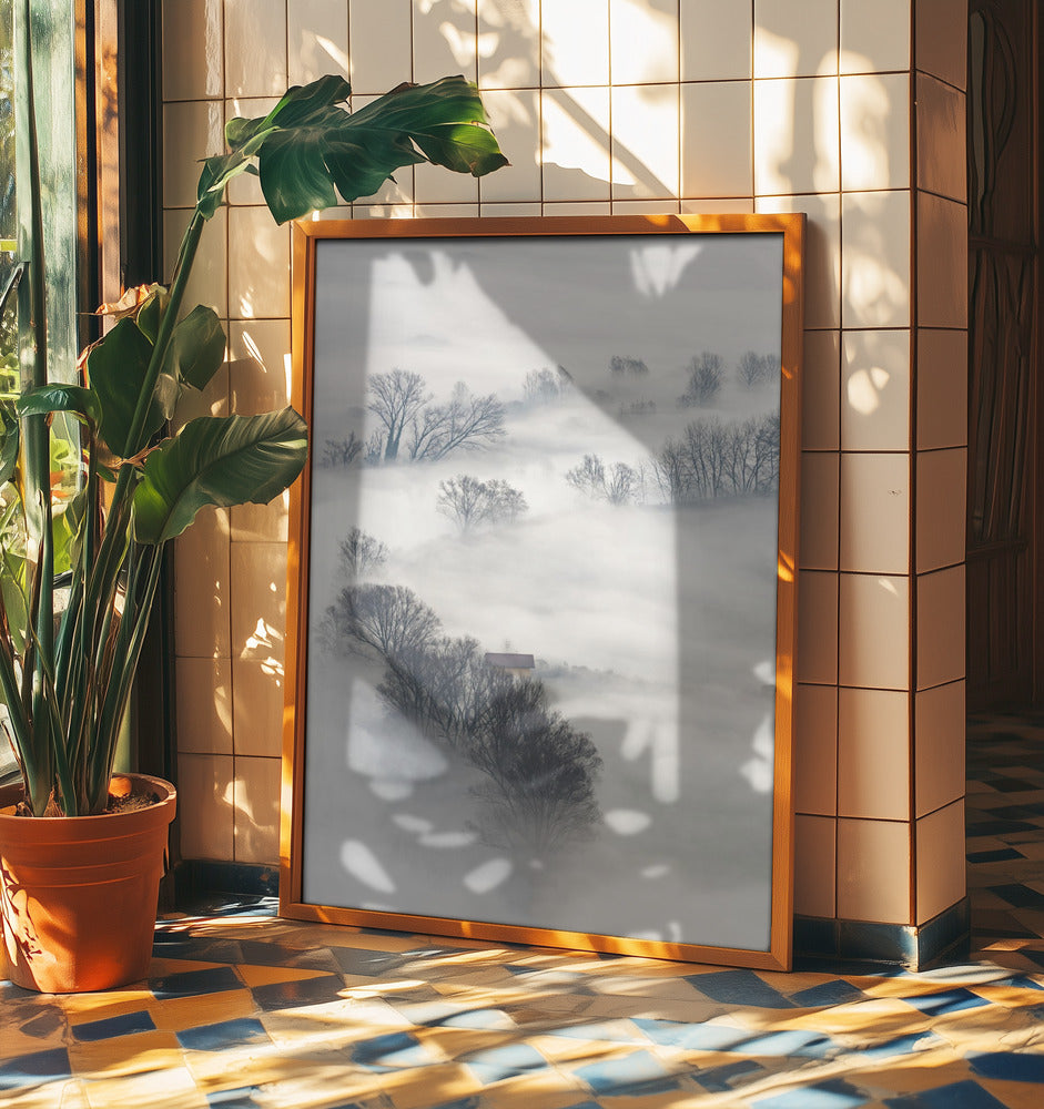 Träd i dimman | Poster