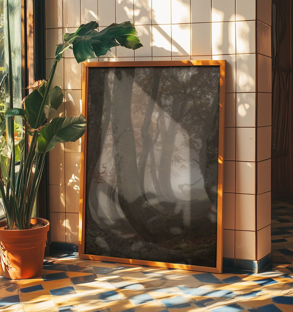 vridna bokträd | Poster