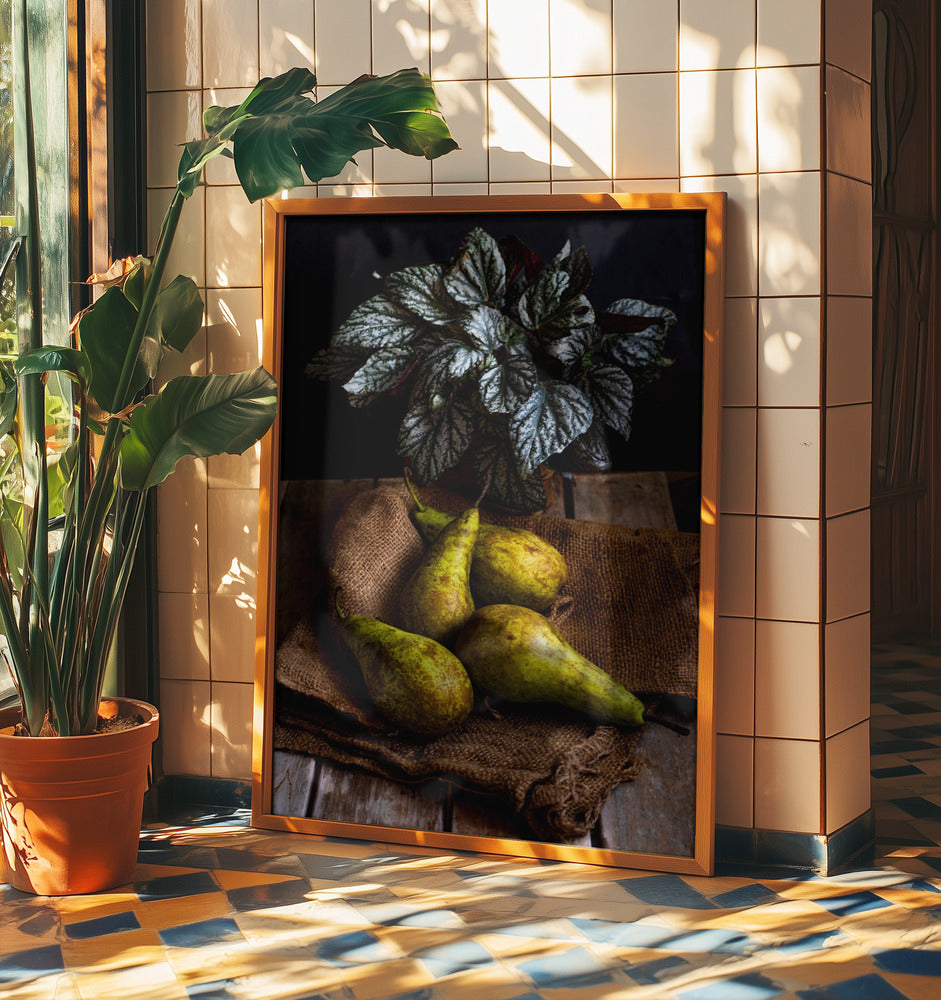 pears | Poster