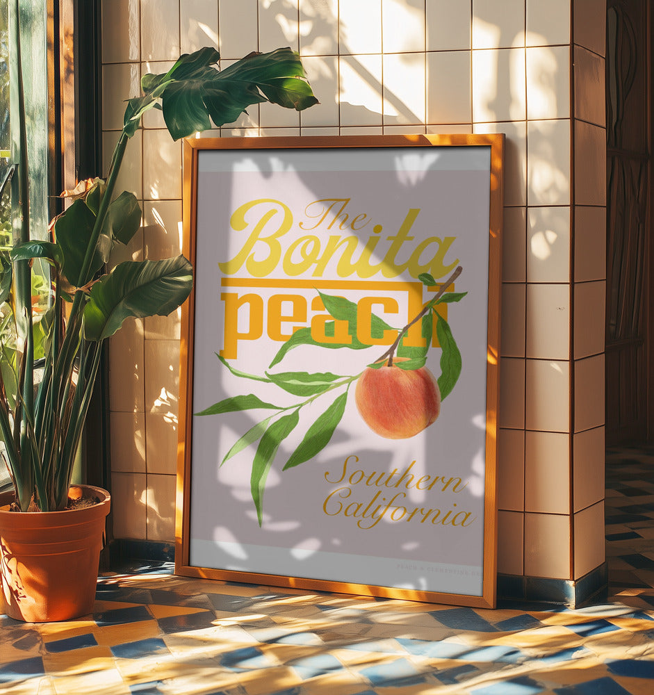 Pandcbonitapeach Kopie | Poster