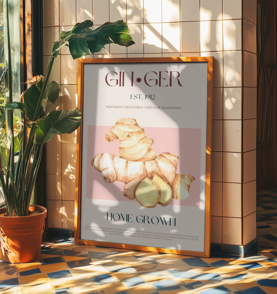 Akvarell illustration av ingefära | Poster