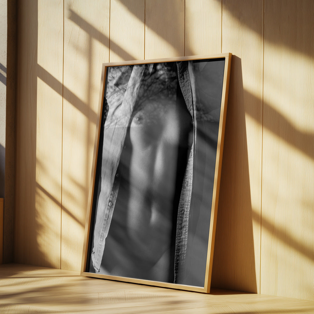 Asymmetrisk | Poster
