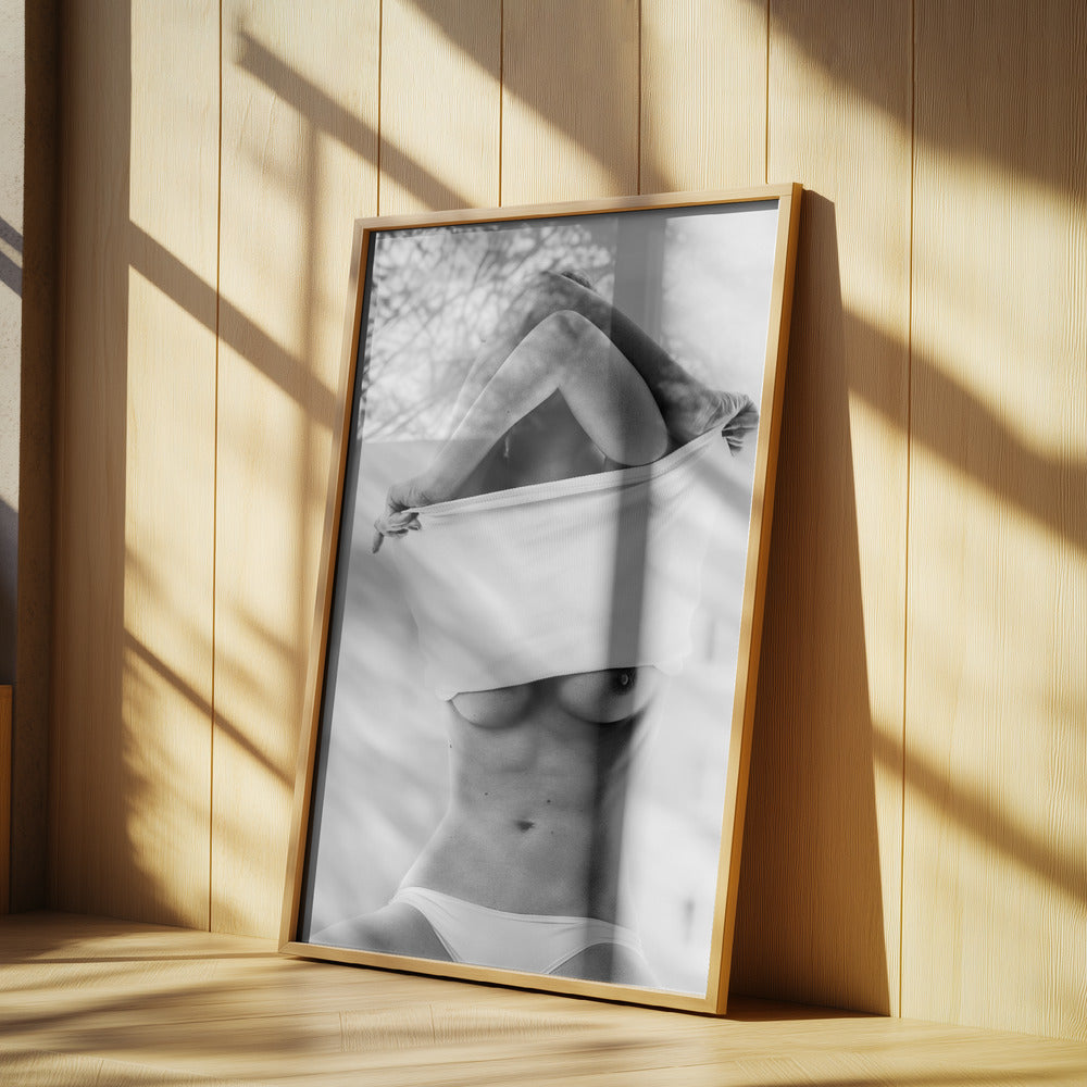 Het [Simona] | Poster