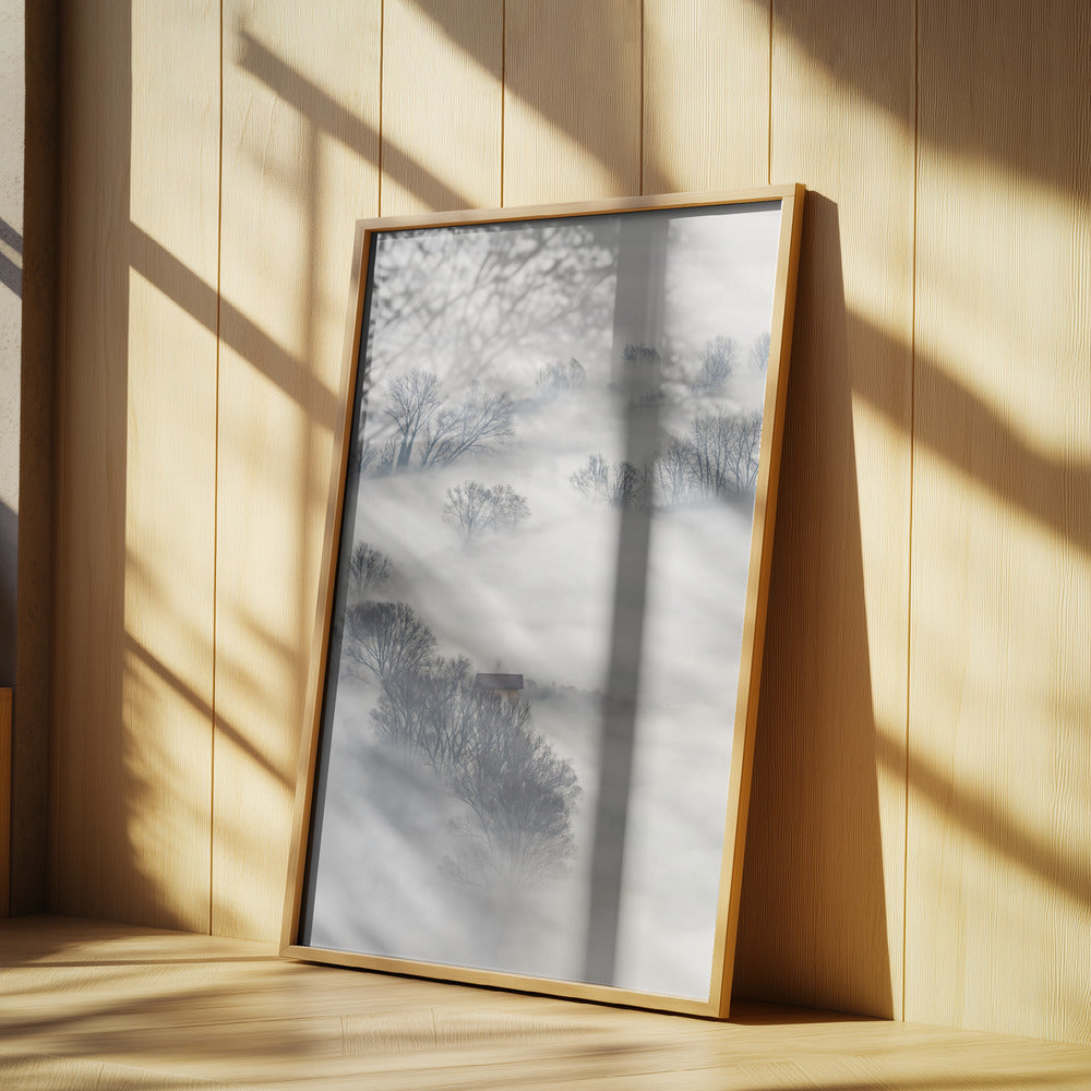 Träd i dimman | Poster