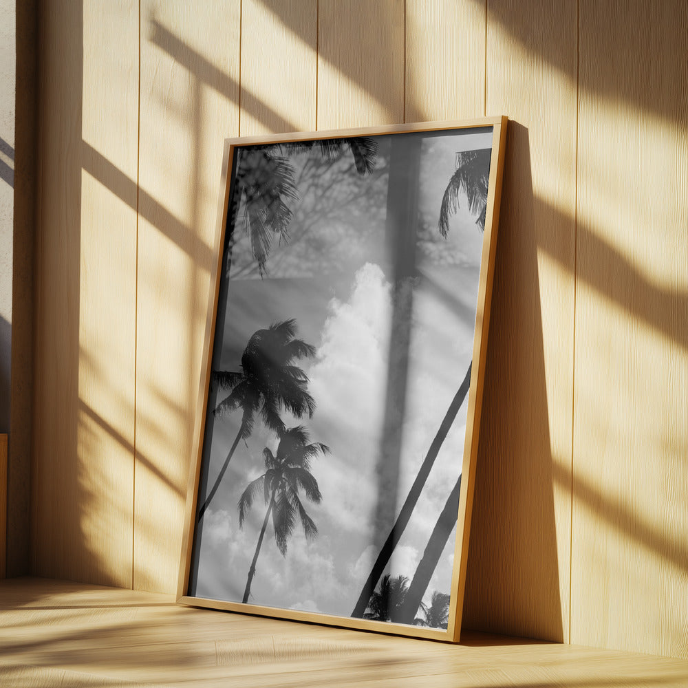 Silhouetted Palms | Poster
