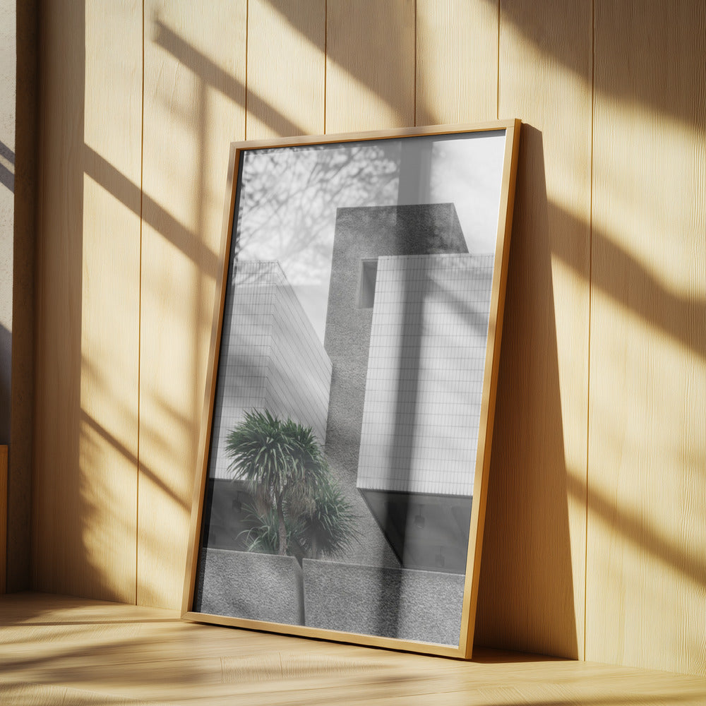 Lonely Palms | Poster