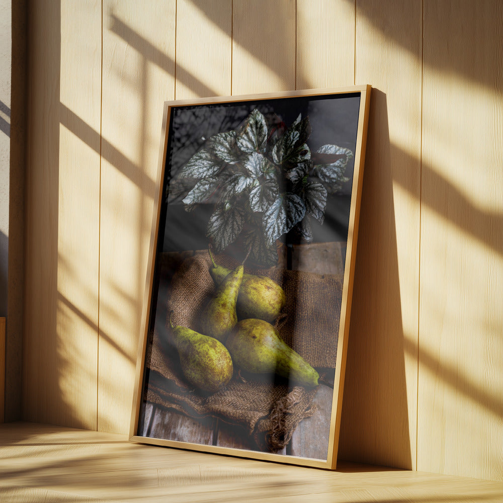 pears | Poster