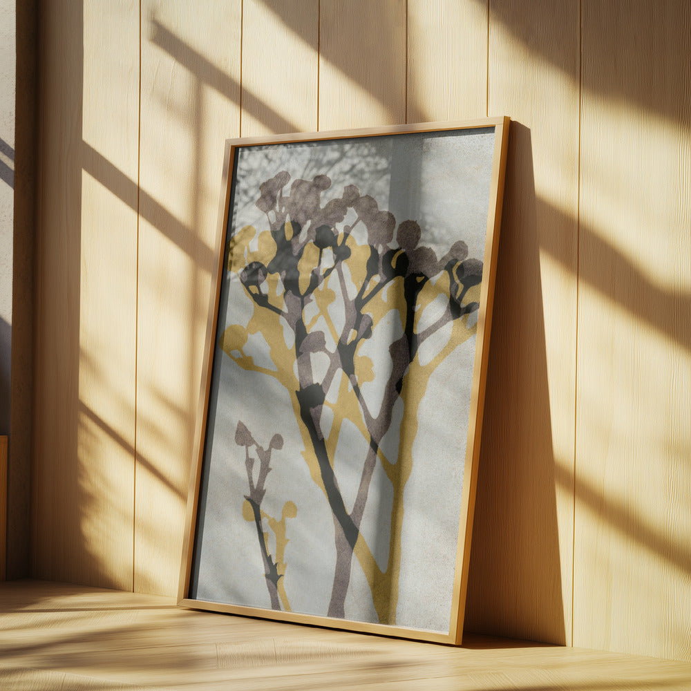 Ekon av Gypsophila | Poster