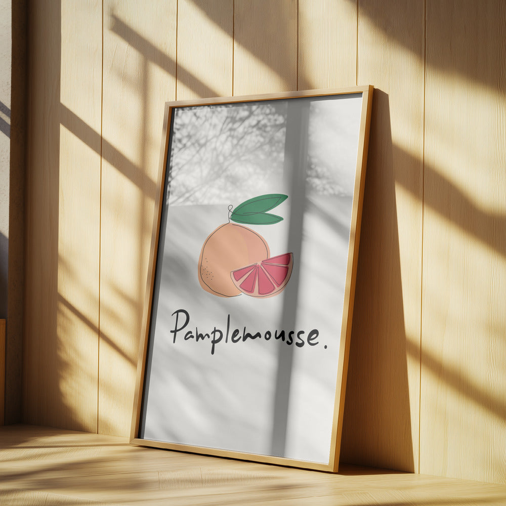Modern fransk fruktkollektion "Grapefrukt / Pamplemousse" | Poster