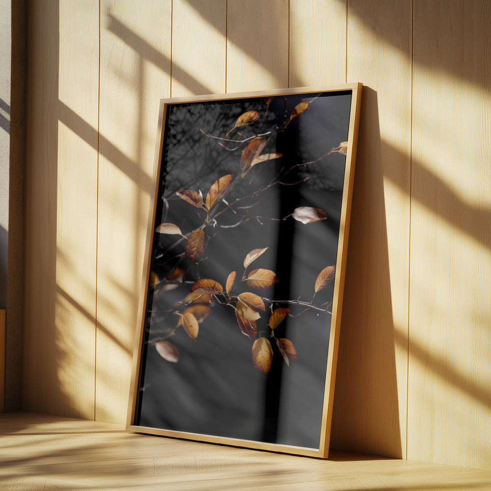 Autumn Leaves 15 | Poster