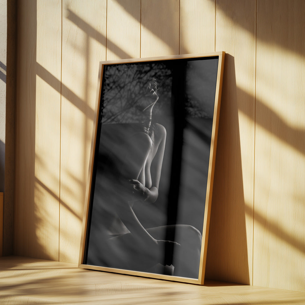 Sensuell skönhet | Poster