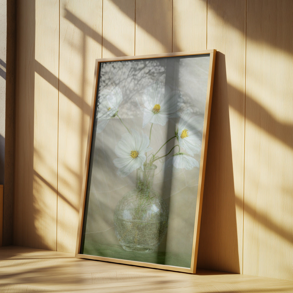 Cosmos breeze | Poster