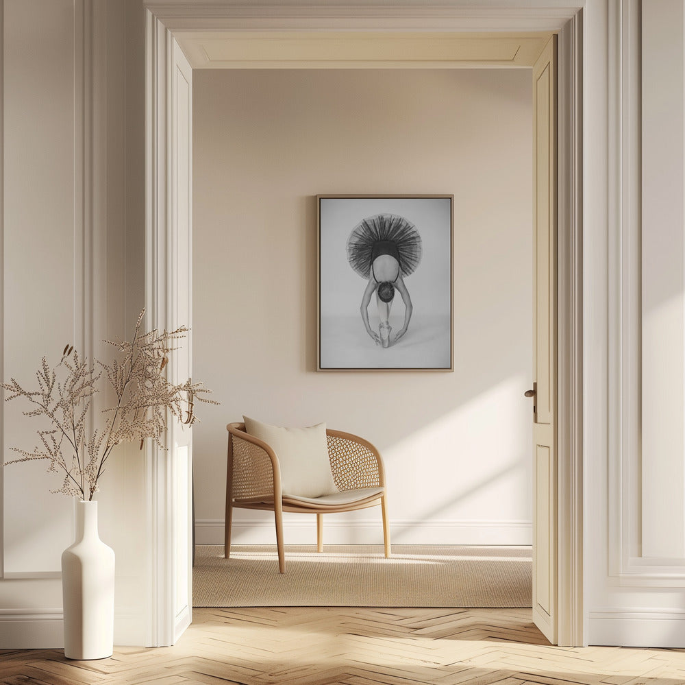 Balettteknik | Poster