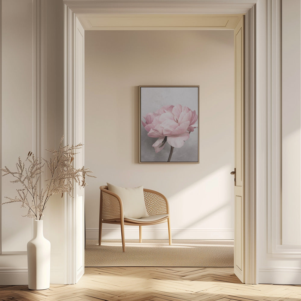 Peony | Poster