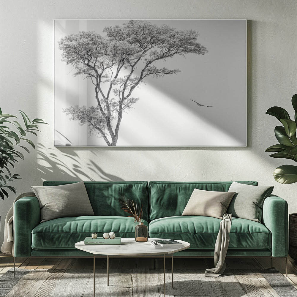 the African eagle | Canvas
