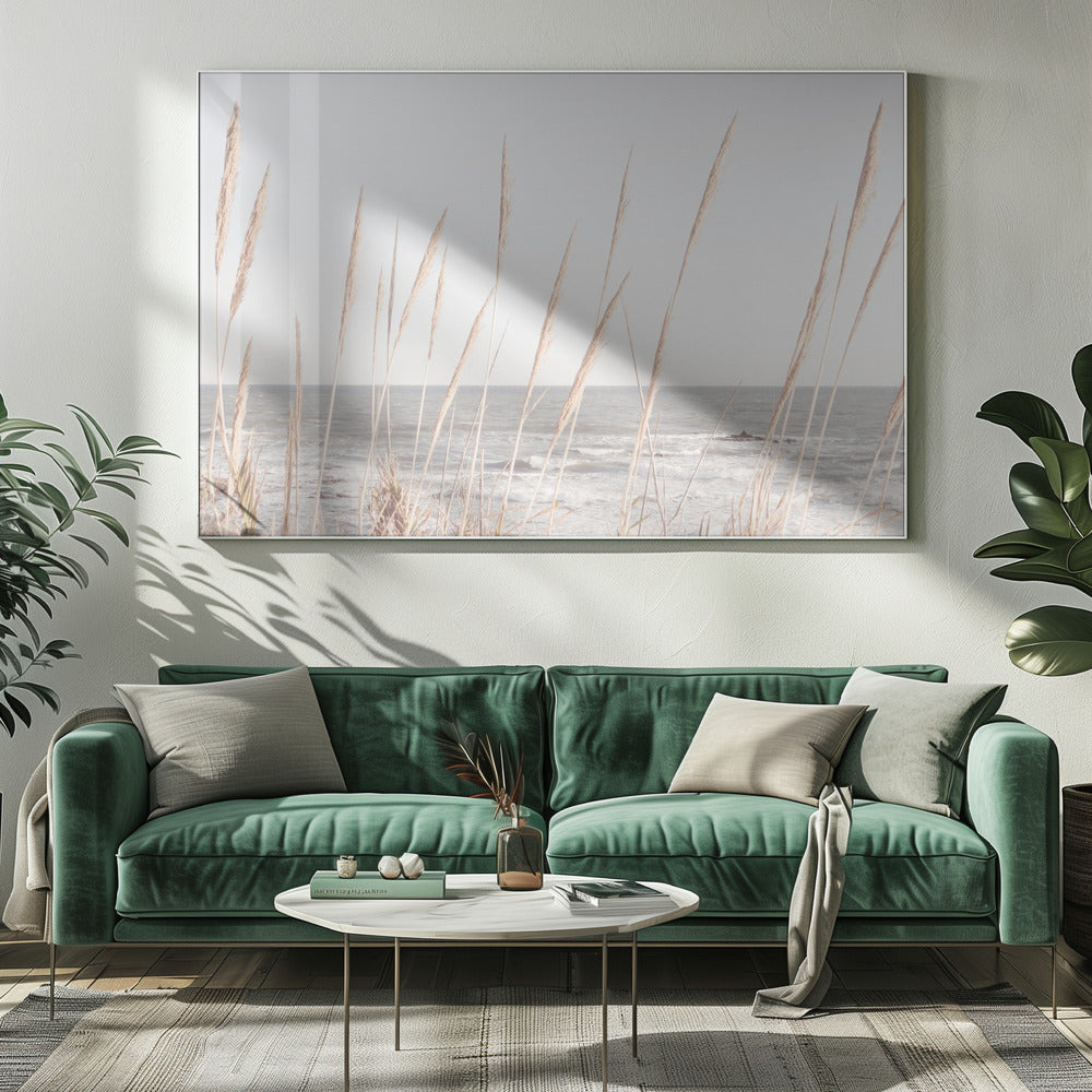 Beach_Vass_002 | Canvas