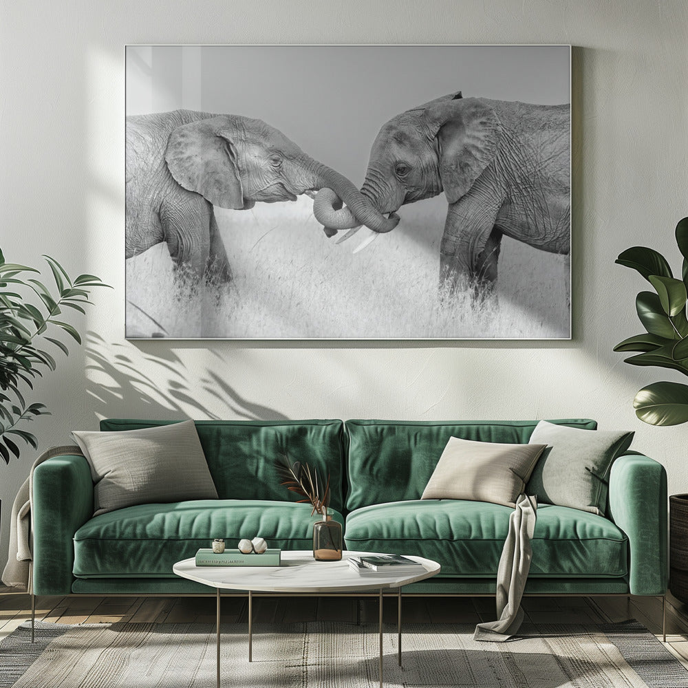 Confrontation | Canvas