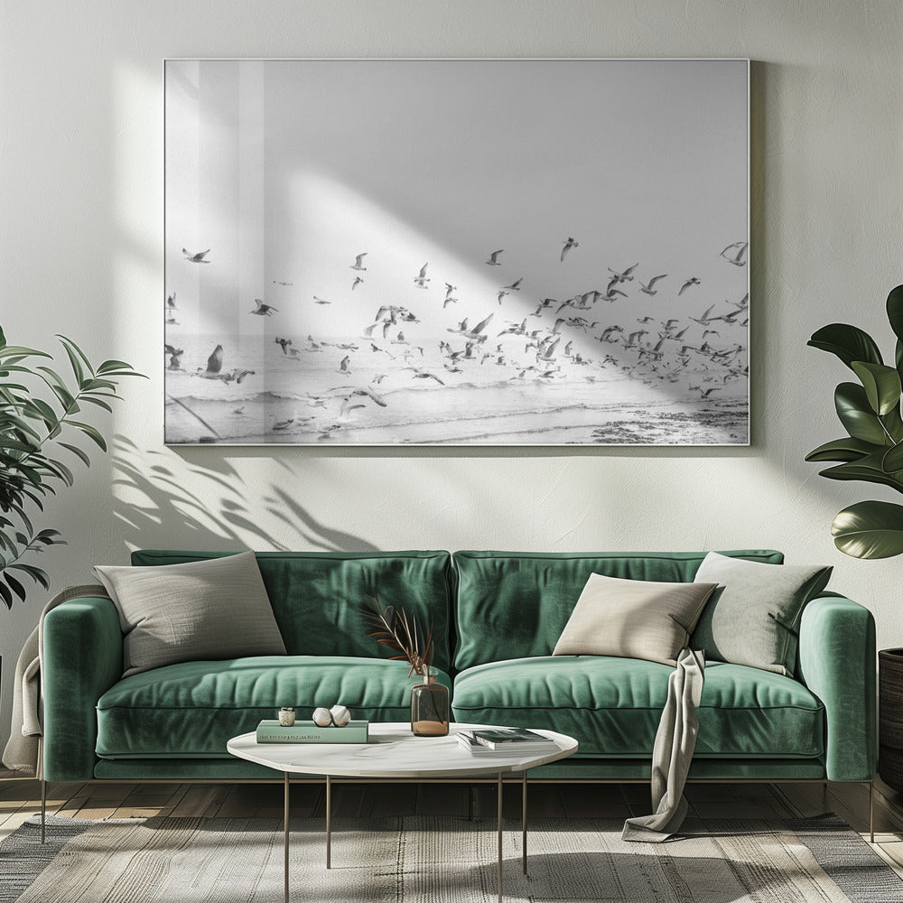 Seagulls - Coastal black and white | Canvas