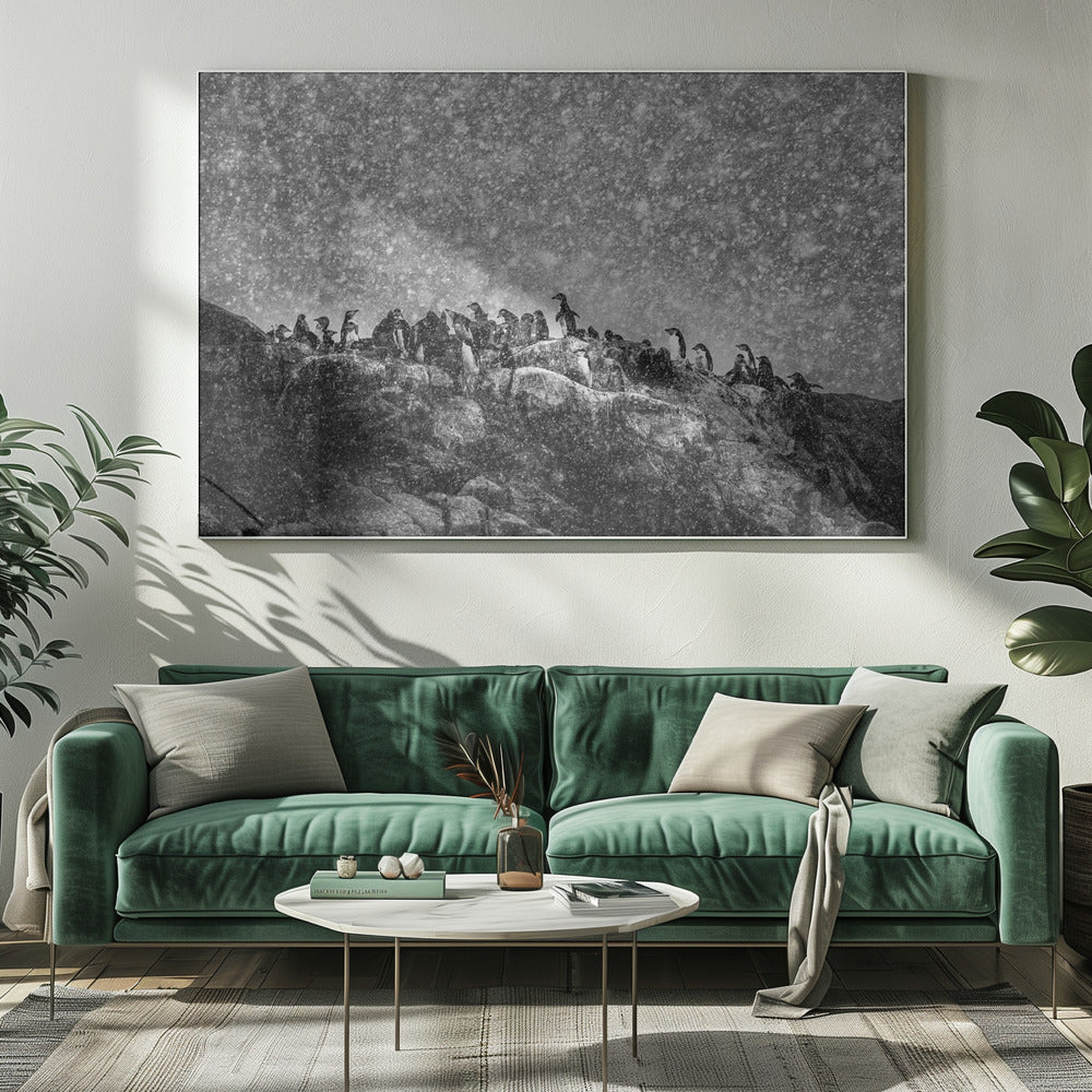 Antarctic storm | Canvas