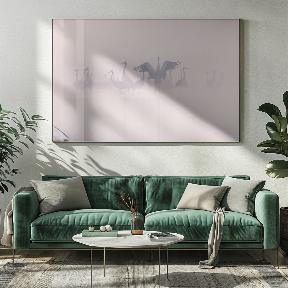 Common Cranes in the morning mist | Canvas