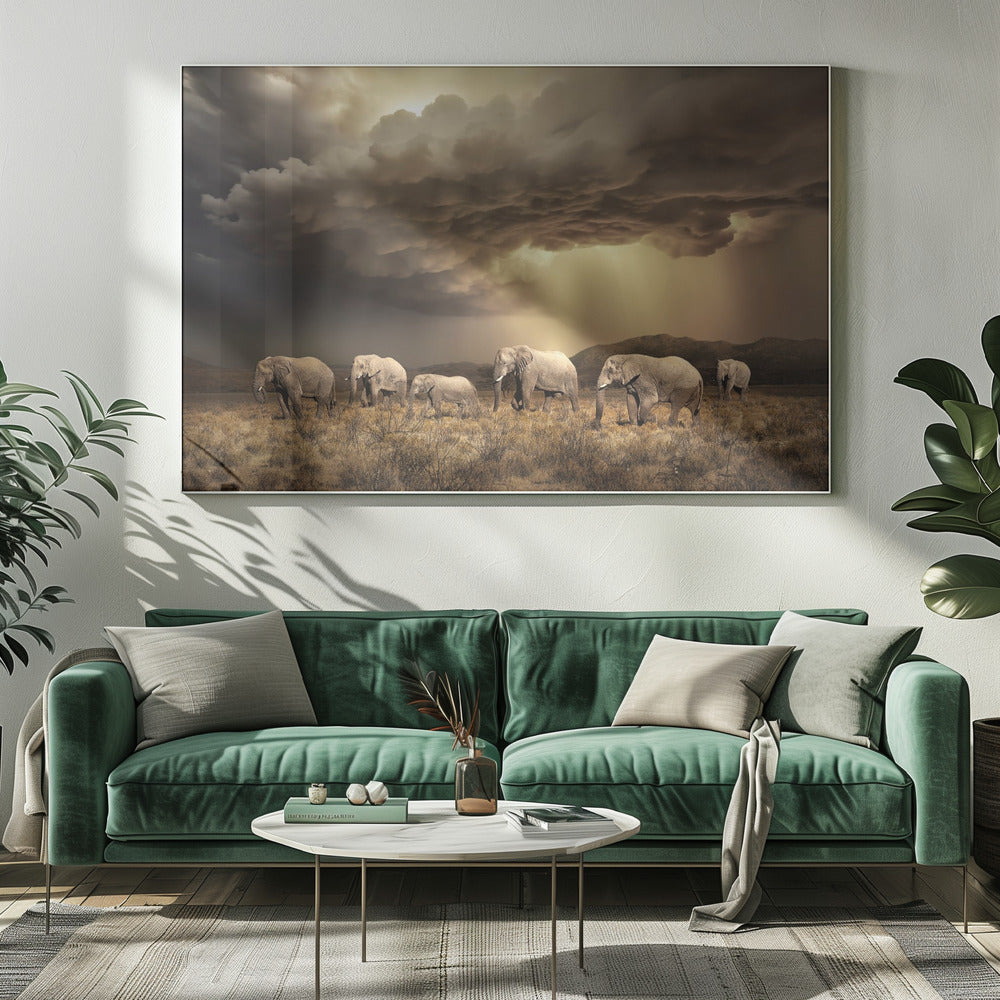 Fria elefanter | Canvas