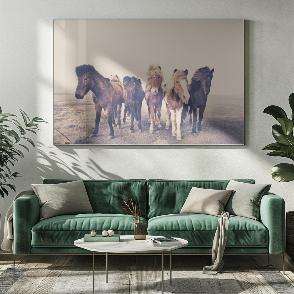 Hästar | Canvas