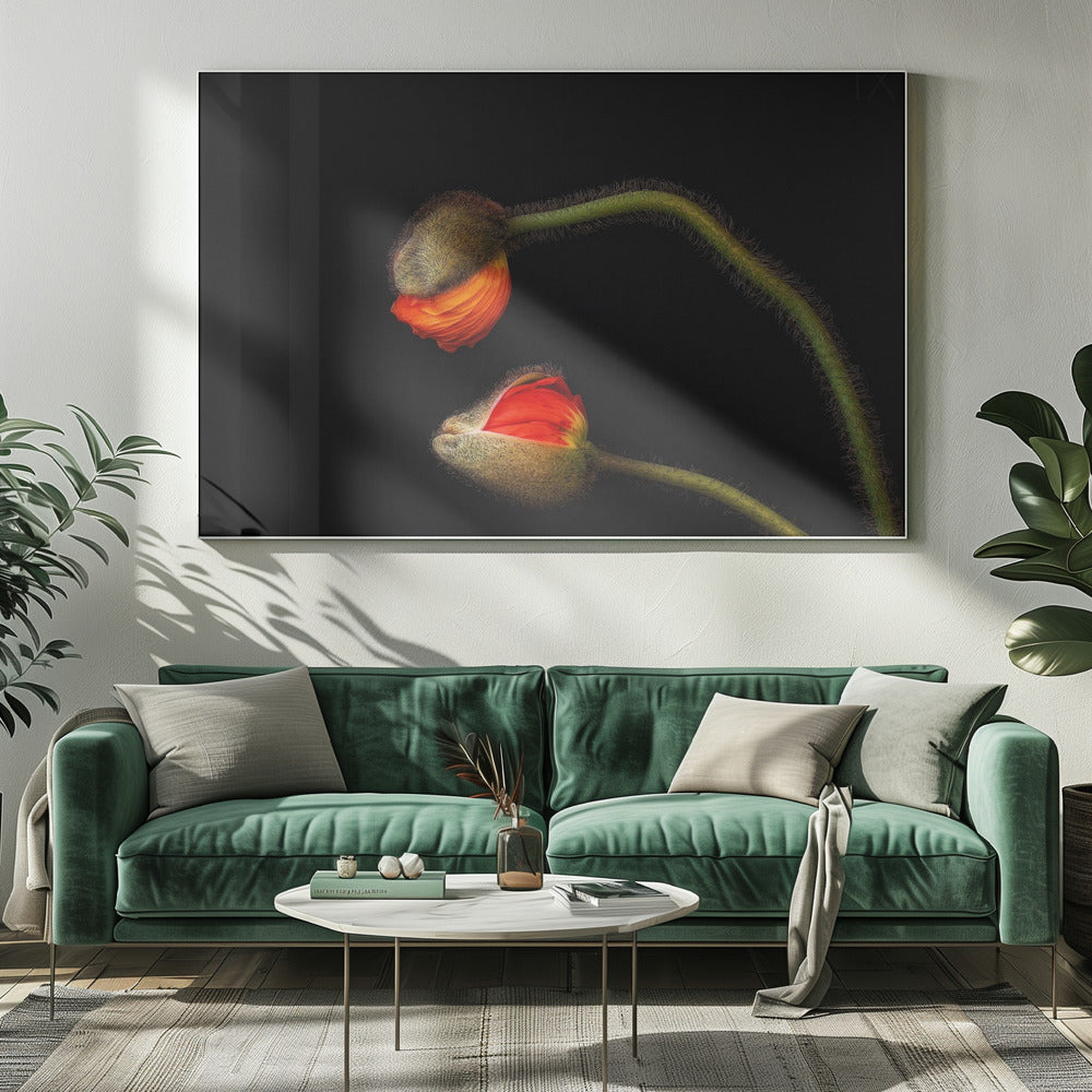 Tango Argentino | Canvas