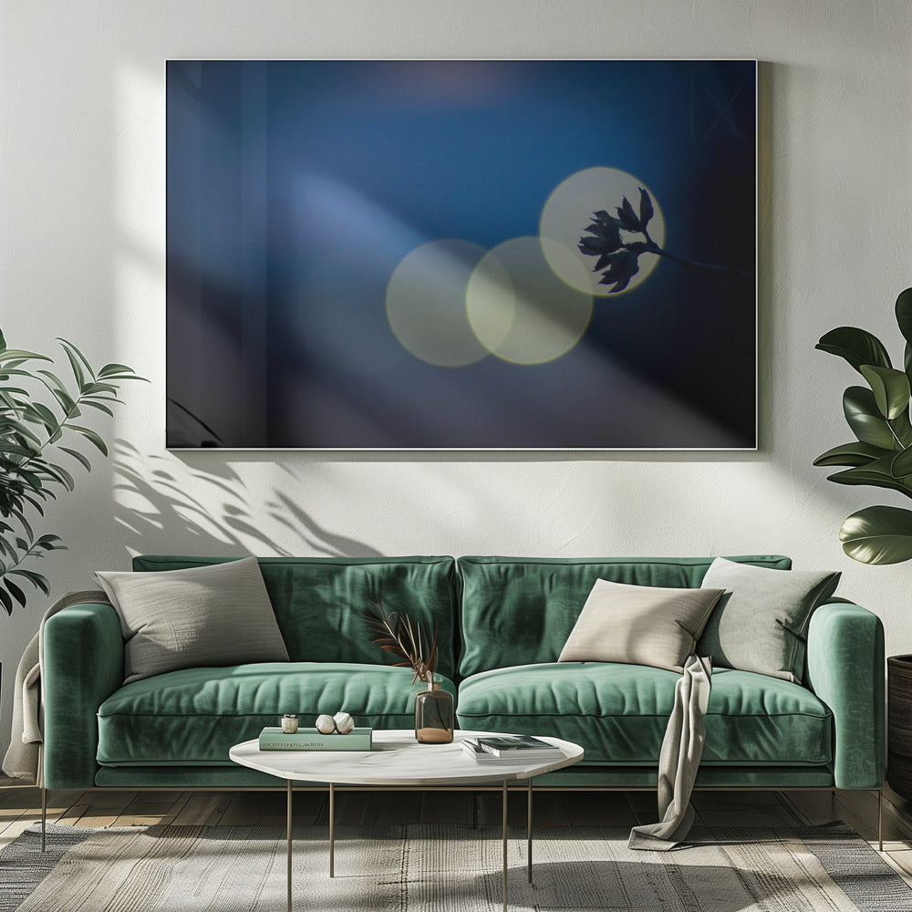 hikari | Canvas