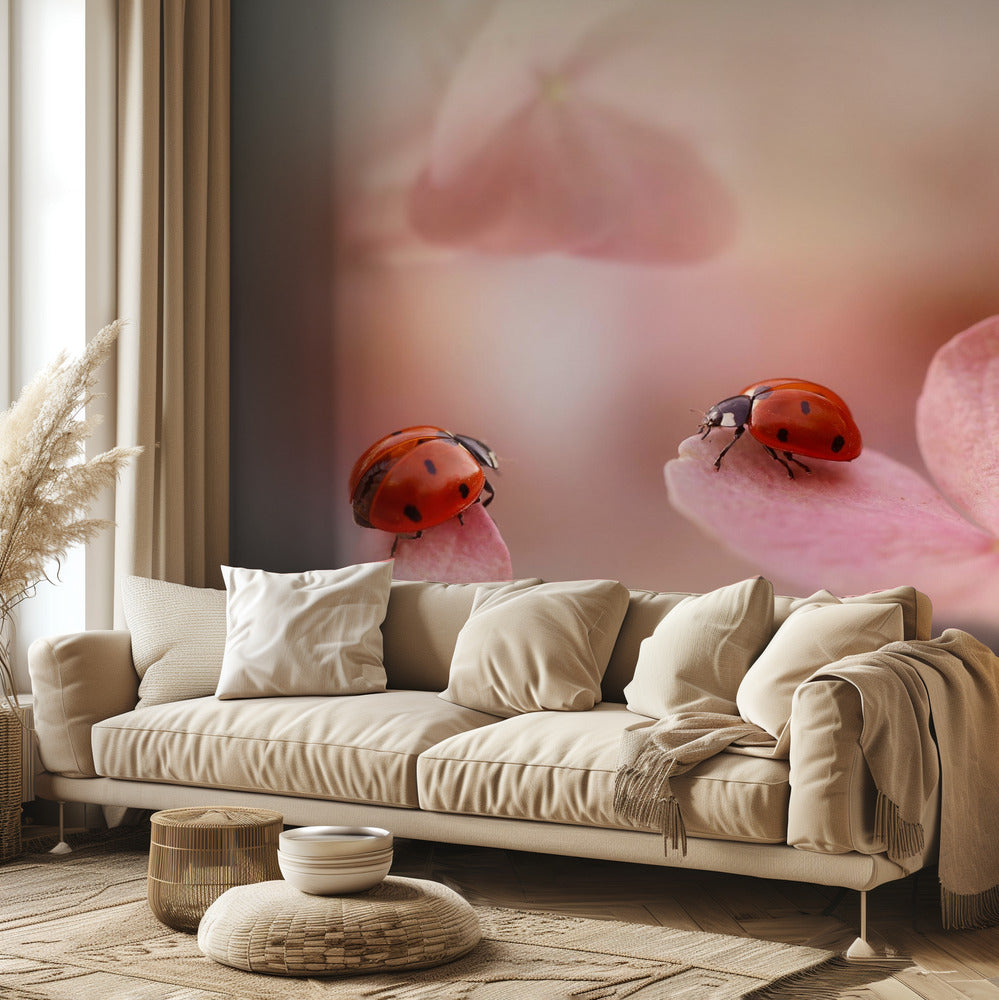 Ladybirds on pink hydrangea. | Wallpaper
