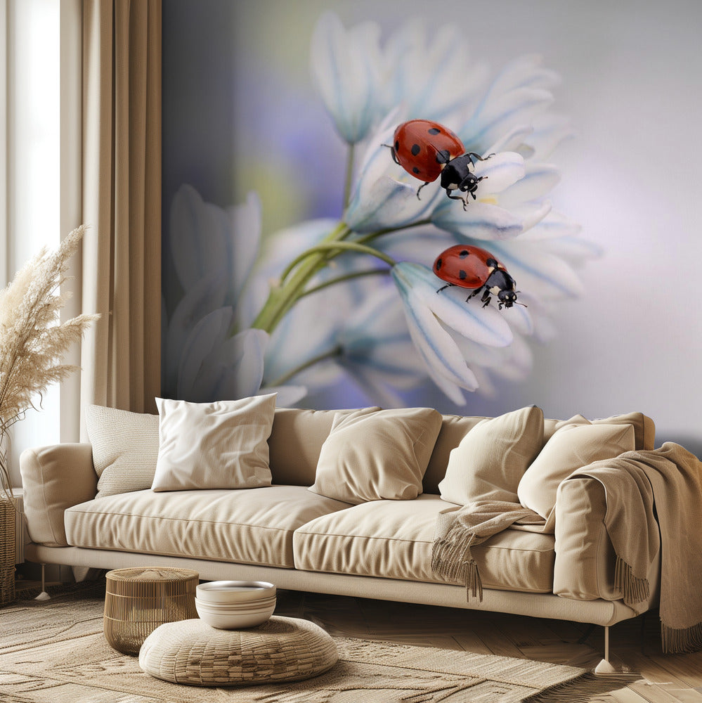 Ladybirds | Wallpaper