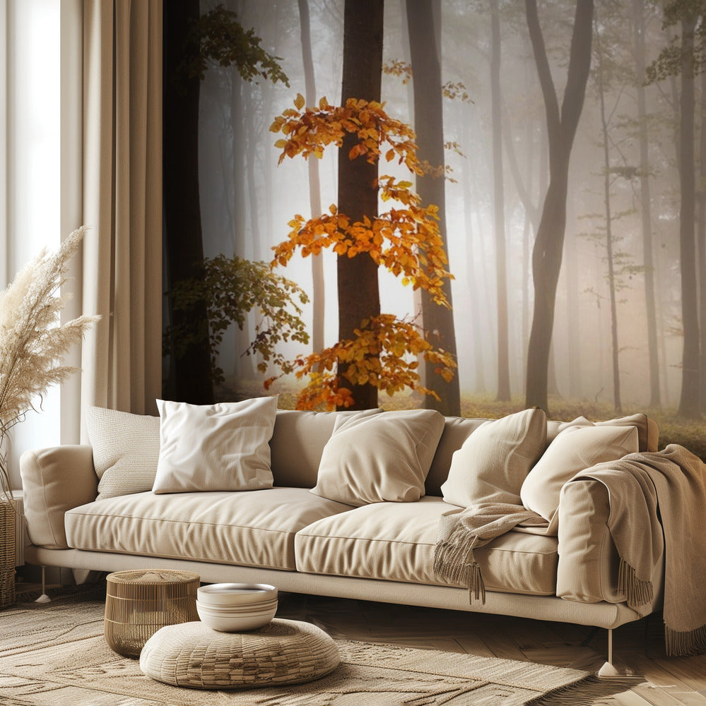 In November Light | Wallpaper