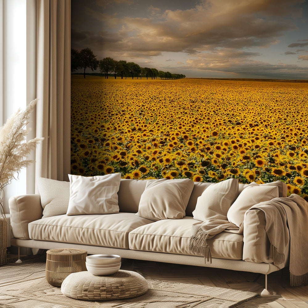 Sunflowers | Wallpaper