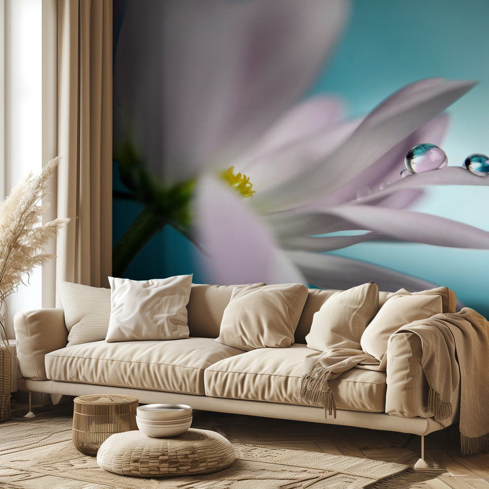 In turquoise Company | Wallpaper
