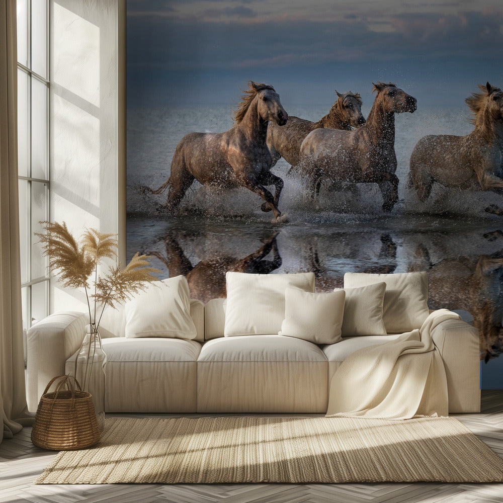Horses and reflection | Wallpaper