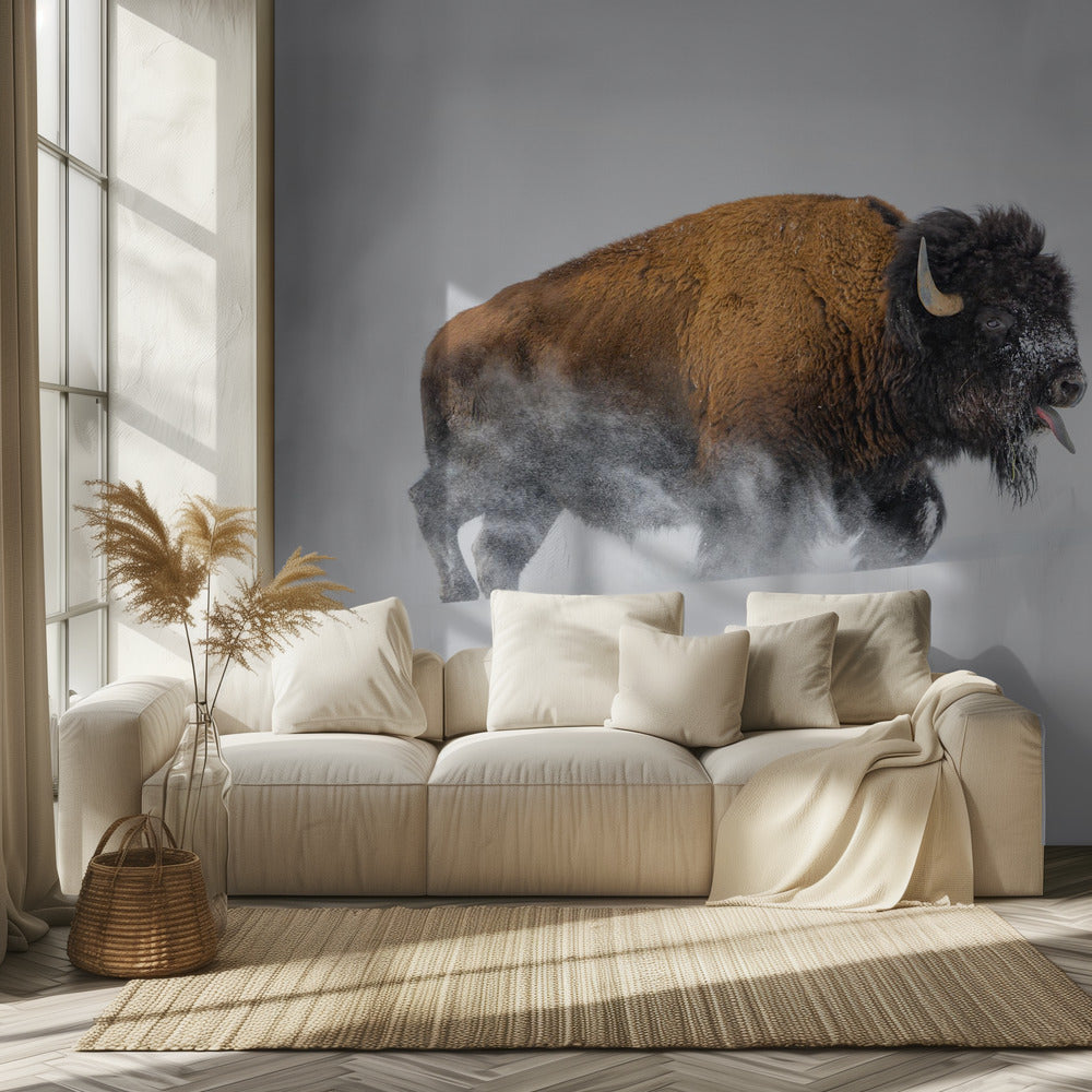 Bison i snön | Tapet