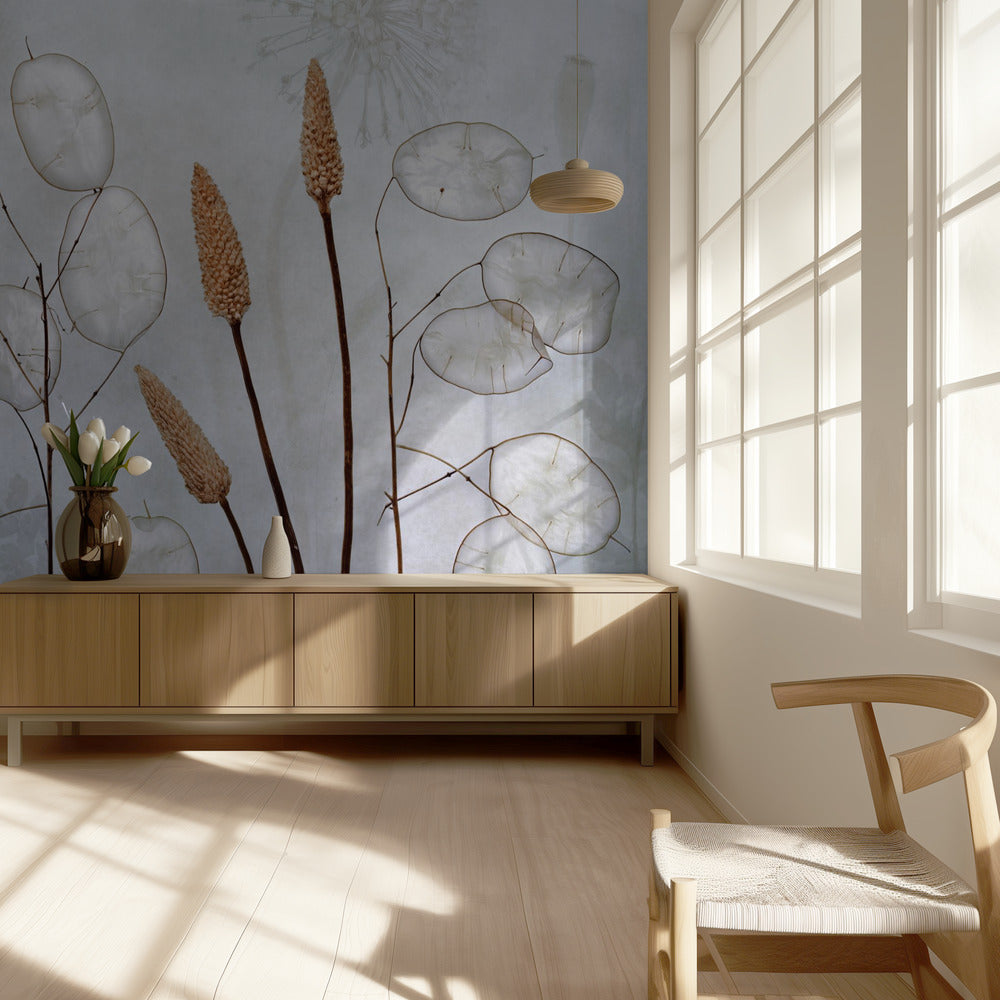 Lunaria | Tapet