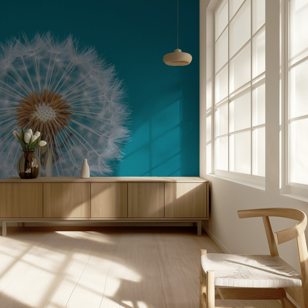Dandelion | Wallpaper