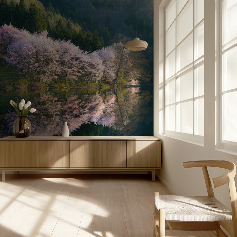 Sakura | Tapet