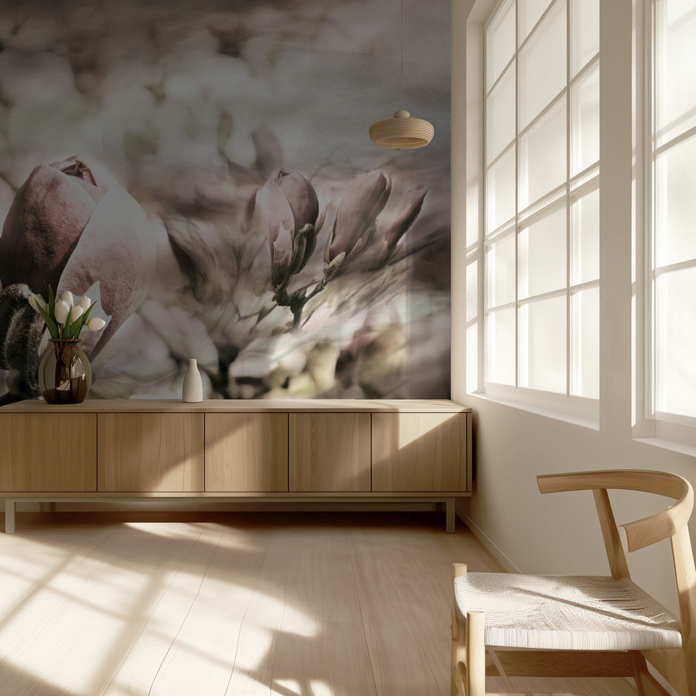 Magnolia vår | Tapet