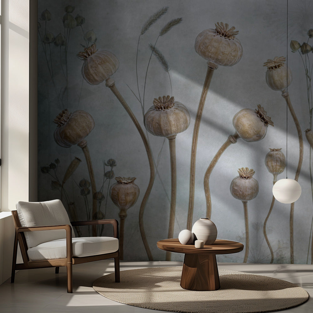 Papaver | Tapet