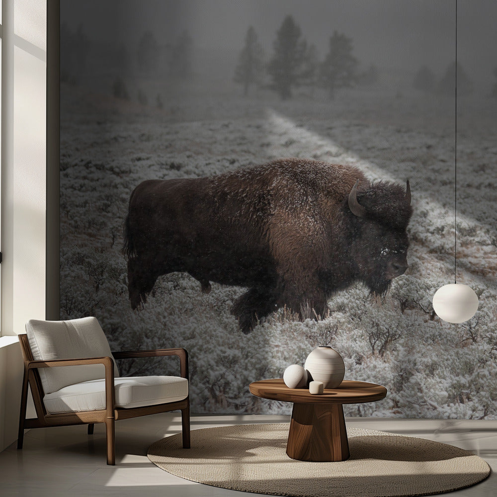 Late Fall Yellowstone | Wallpaper