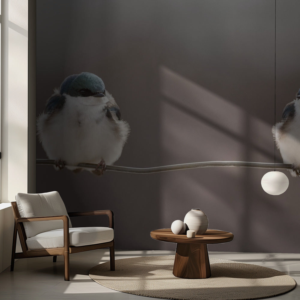 Birds on a wire | Wallpaper
