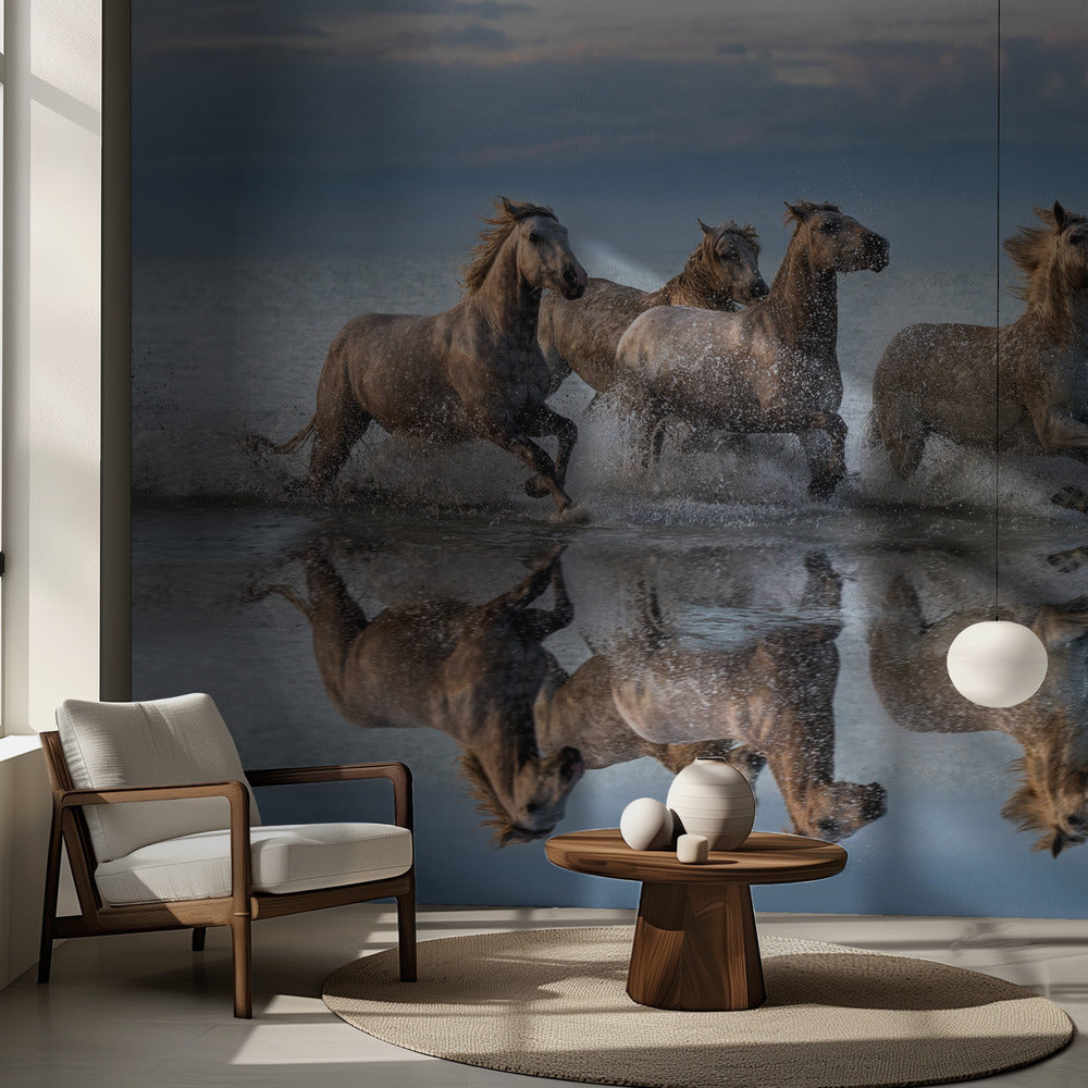 Horses and reflection | Wallpaper