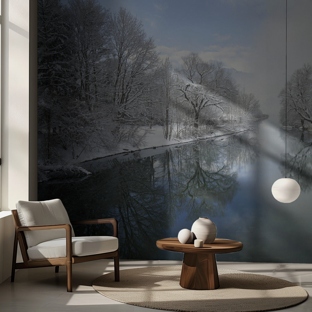 Vinter | Tapeter