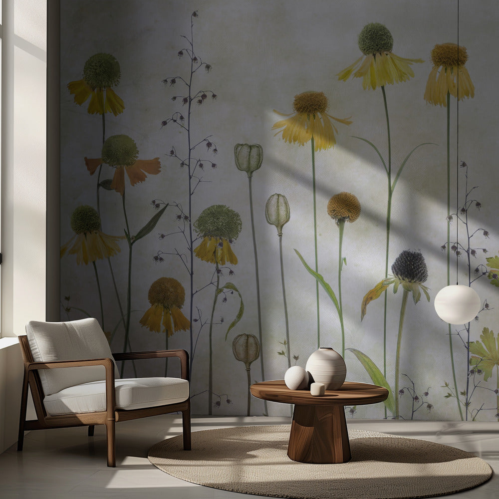 Helenium | Tapet